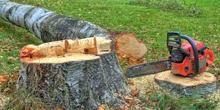 Best Tree Mulching  in Emigsville, PA