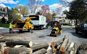 Best Tree Preservation Services  in Emigsville, PA